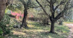 Farmhouse for sale Arzachena ref San Biagio