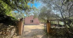 Farmhouse for sale Arzachena ref San Biagio