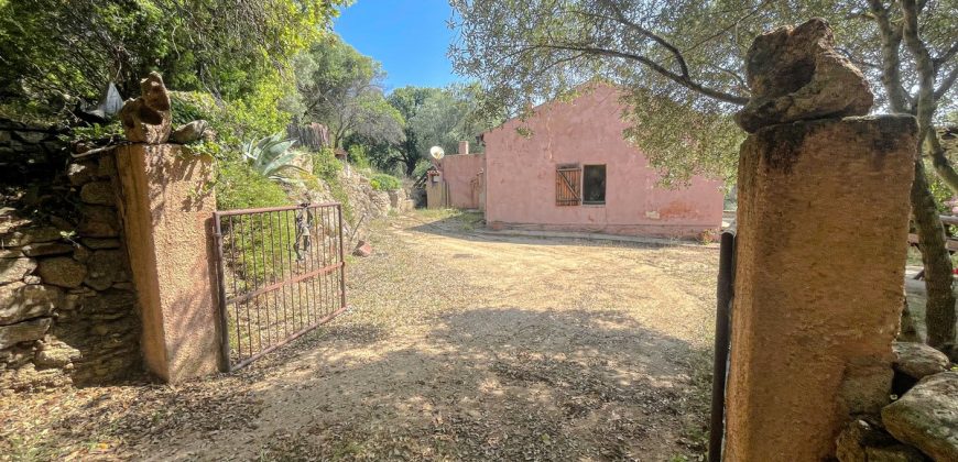 Farmhouse for sale Arzachena ref San Biagio