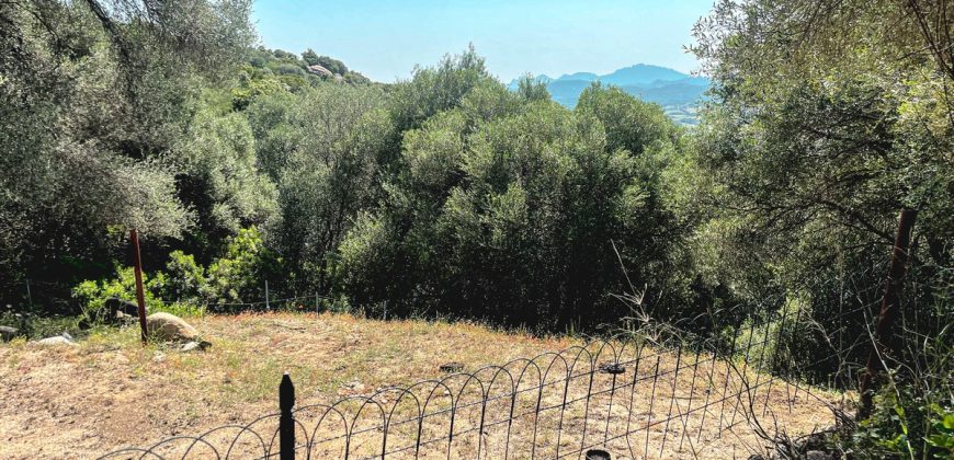 Farmhouse for sale Arzachena ref San Biagio