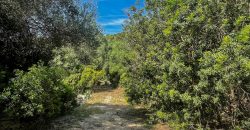 Farmhouse for sale Arzachena ref San Biagio