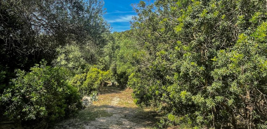 Farmhouse for sale Arzachena ref San Biagio