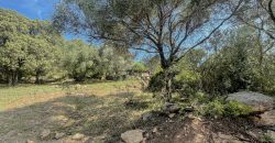 Farmhouse for sale Arzachena ref San Biagio