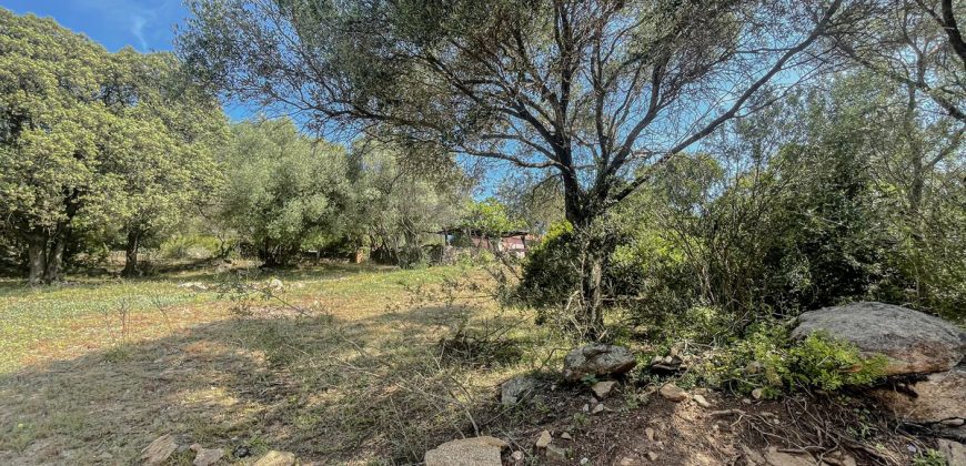 Farmhouse for sale Arzachena ref San Biagio