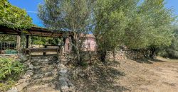 Farmhouse for sale Arzachena ref San Biagio