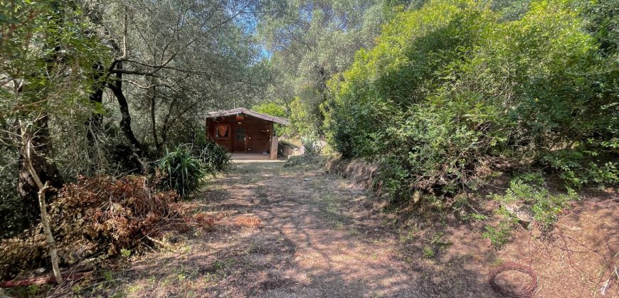 Farmhouse For Sale Arzachena ref San Biagio