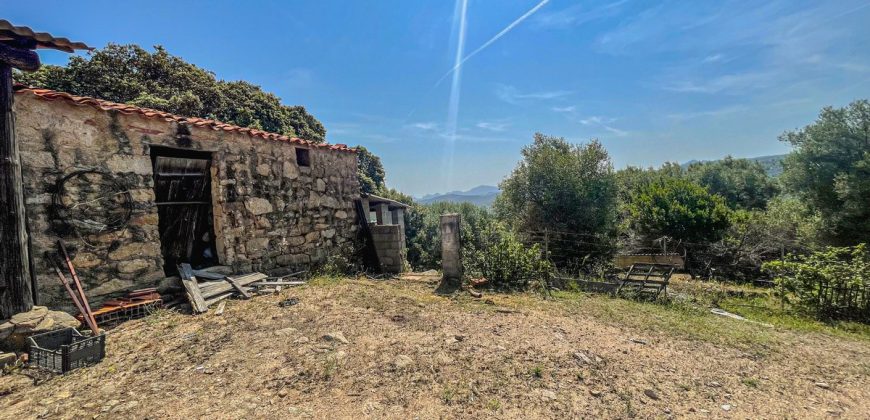 Farmhouse for sale Arzachena ref San Biagio