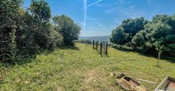 Farmhouse for sale Arzachena ref San Biagio