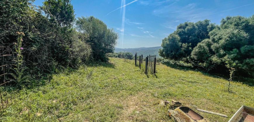 Farmhouse for sale Arzachena ref San Biagio