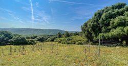 Farmhouse for sale Arzachena ref San Biagio