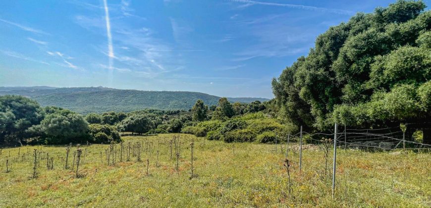 Farmhouse for sale Arzachena ref San Biagio