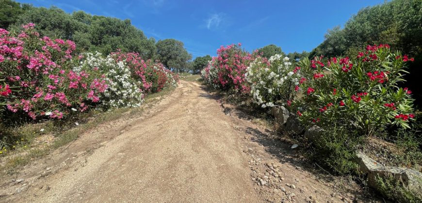 Farmhouse for sale Arzachena ref San Biagio