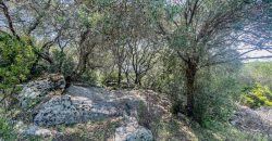 Farmhouse For Sale Arzachena ref San Biagio