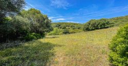 Farmhouse For Sale Arzachena ref San Biagio