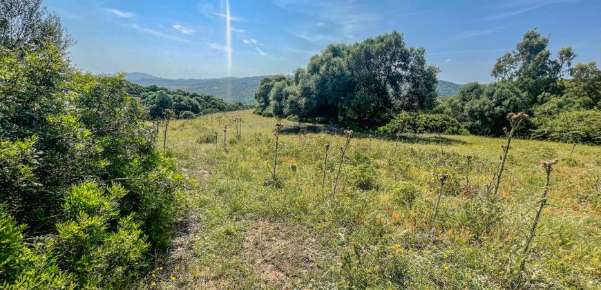 Farmhouse for sale Arzachena ref San Biagio