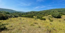 Farmhouse for sale Arzachena ref San Biagio