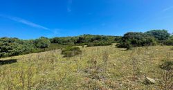 Farmhouse For Sale Arzachena ref San Biagio