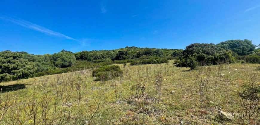 Farmhouse For Sale Arzachena ref San Biagio