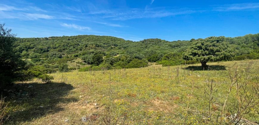 Farmhouse for sale Arzachena ref San Biagio