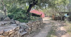 Farmhouse for sale Arzachena ref San Biagio