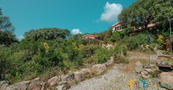 Farmhouse For Sale Luogosanto ref Calcinaggiu