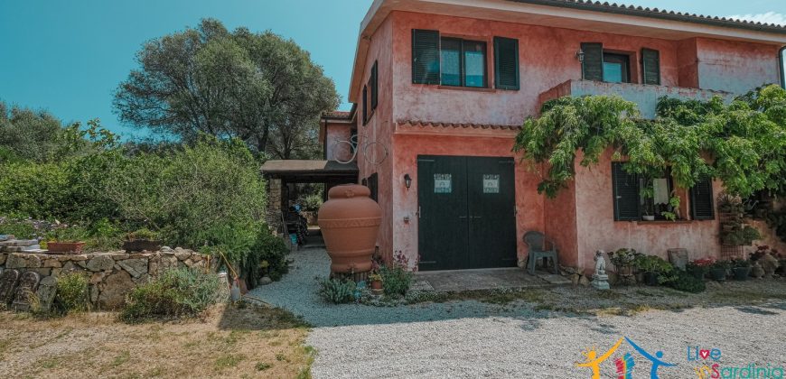 Farmhouse For Sale Luogosanto ref Calcinaggiu