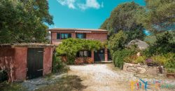 Farmhouse For Sale Luogosanto ref Calcinaggiu