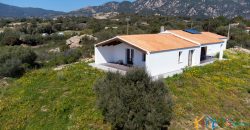 Farmhouse for sale Olbia ref Capriuleddu