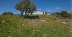 Farmhouse for sale Olbia ref Capriuleddu