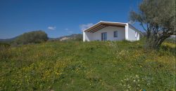 Farmhouse for sale Olbia ref Capriuleddu