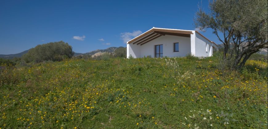 Farmhouse for sale Olbia ref Capriuleddu