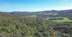 Farmhouse For Sale Arzachena ref San Biagio