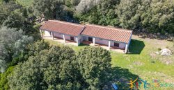 Farmhouse for sale Arzachena ref San Biagio