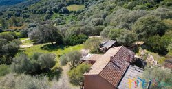 Farmhouse for sale Arzachena ref San Biagio