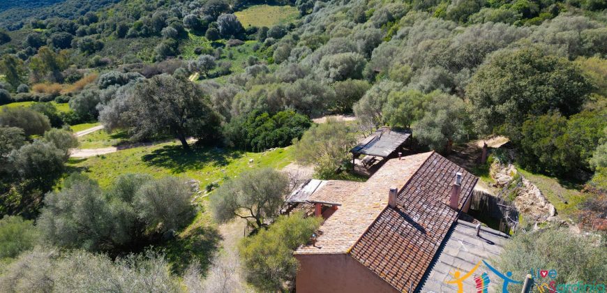 Farmhouse for sale Arzachena ref San Biagio