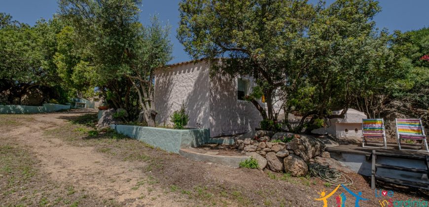 Country Home For Sale Costa Smeralda Sardinia Ref Vaddj Jatta