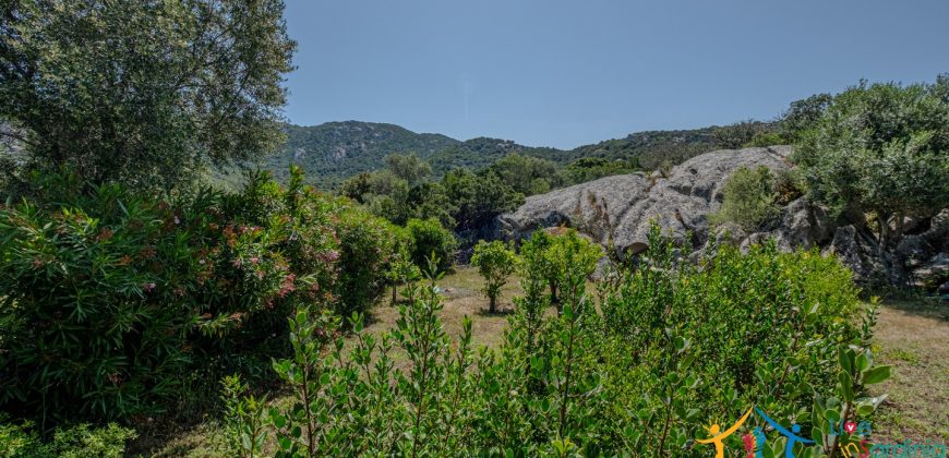 Country Home For Sale Costa Smeralda Sardinia Ref Vaddj Jatta