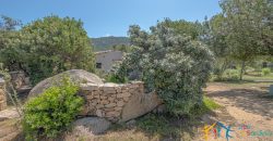 Country Home For Sale Costa Smeralda Sardinia Ref Vaddj Jatta