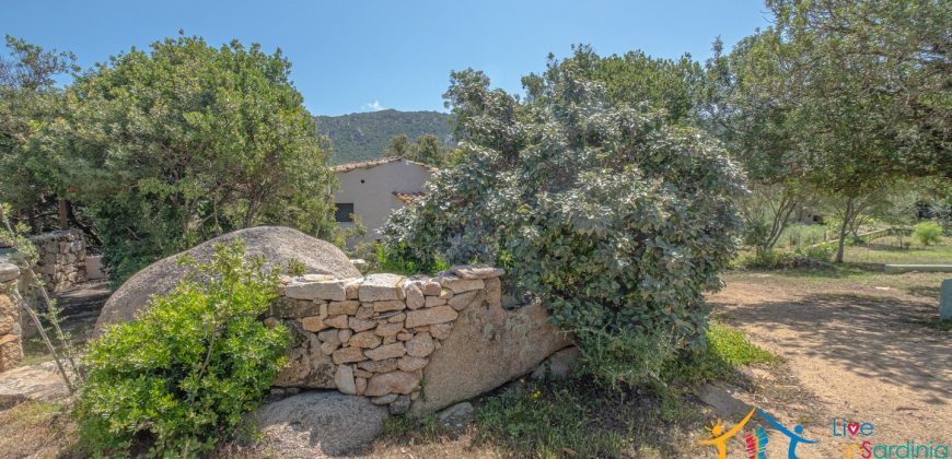 Country Home For Sale Costa Smeralda Sardinia Ref Vaddj Jatta