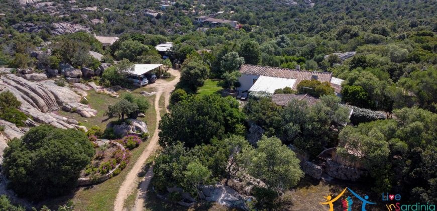 Country Home For Sale Costa Smeralda Sardinia Ref Vaddj Jatta