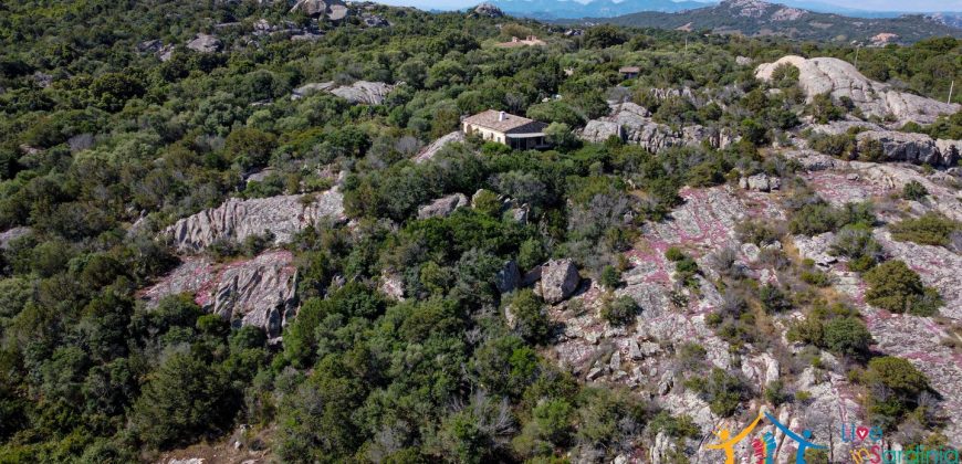 Country Home For Sale Costa Smeralda Sardinia Ref Vaddj Jatta