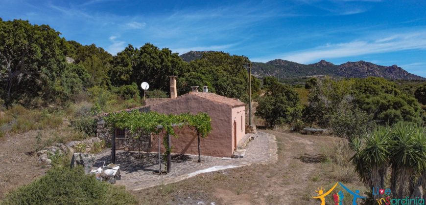 Country Home For Sale Telti Sardinia ref Pisiddone