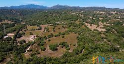 Country Home For Sale Telti Sardinia ref Pisiddone