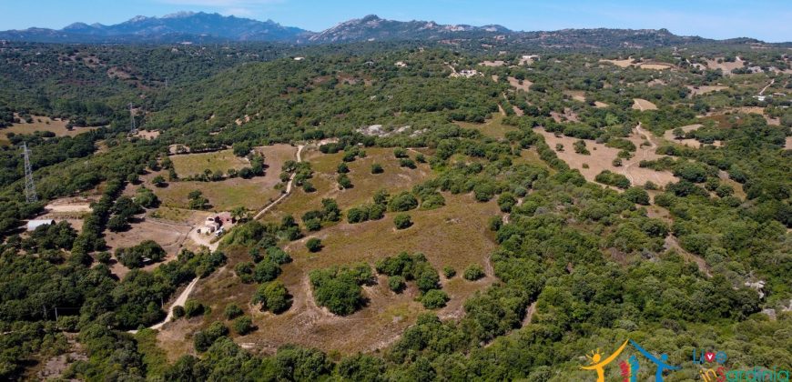 Country Home For Sale Telti Sardinia ref Pisiddone