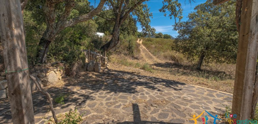 Country Home For Sale Telti Sardinia ref Pisiddone