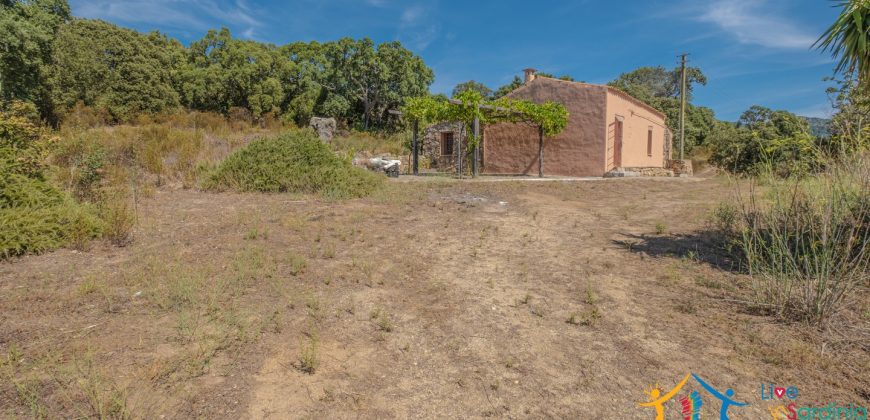 Country Home For Sale Telti Sardinia ref Pisiddone