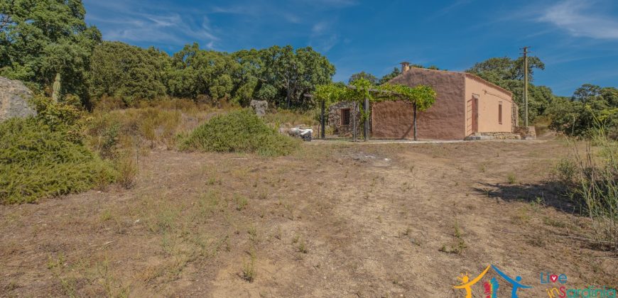 Country Home For Sale Telti Sardinia ref Pisiddone