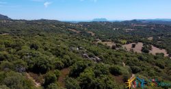 Country Home For Sale Telti Sardinia ref Pisiddone