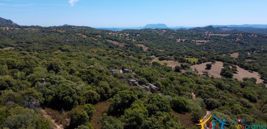 Country Home For Sale Telti Sardinia ref Pisiddone