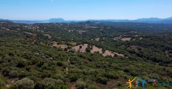 Country Home For Sale Telti Sardinia ref Pisiddone